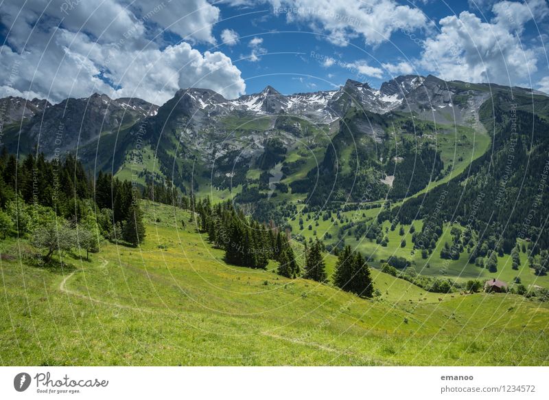 alpine valley Relaxation Calm Vacation & Travel Tourism Trip Summer Mountain Hiking Nature Landscape Plant Air Sky Clouds Weather Beautiful weather Tree Grass