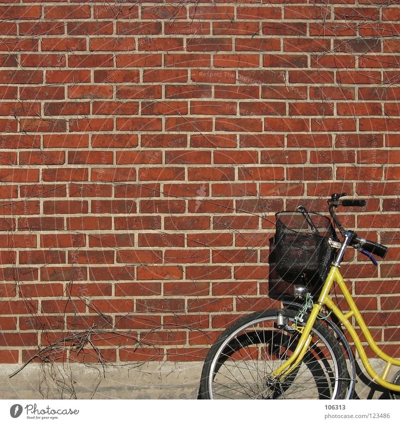 MR. POSTMAN? Bicycle Mail Wall (barrier) Wall (building) Metal Brick Yellow Red Ladies' bicycle Basket Old-school Empty Things Lean bicycle basket
