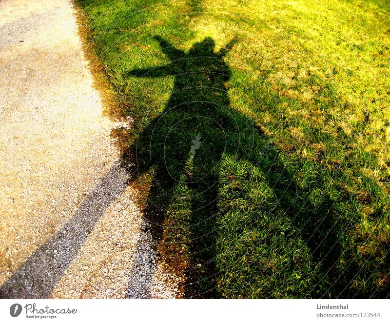 shadow of fun Meadow Playing Shadow play Absurdity Joy Funny merry yeah Dance Gravel