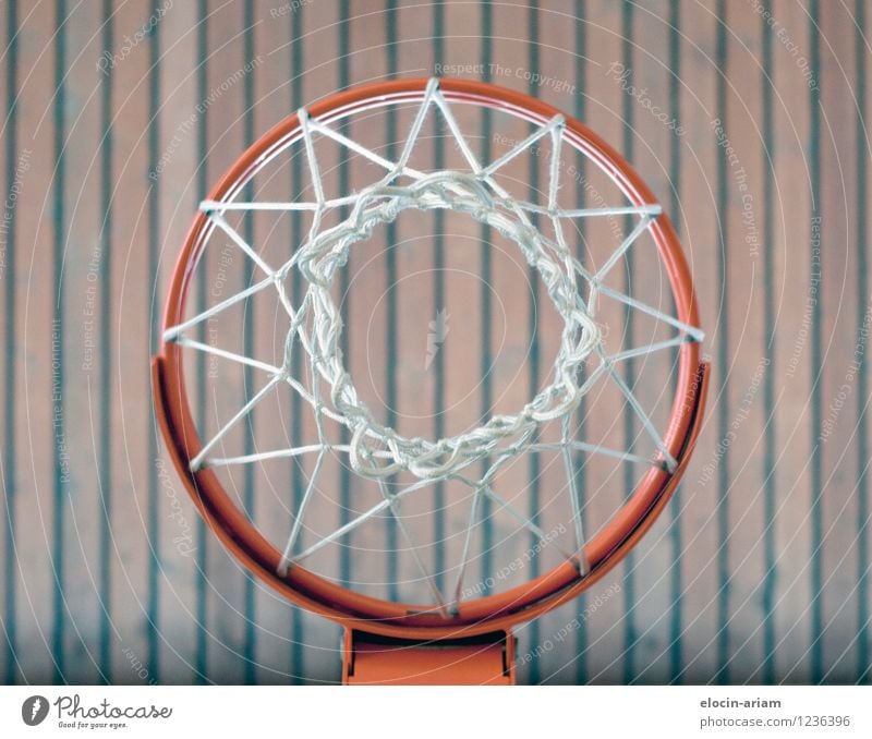 through the middle Wood Throw Thin Basketball basket Sports Gymnasium Colour photo Interior shot Artificial light Worm's-eye view Downward