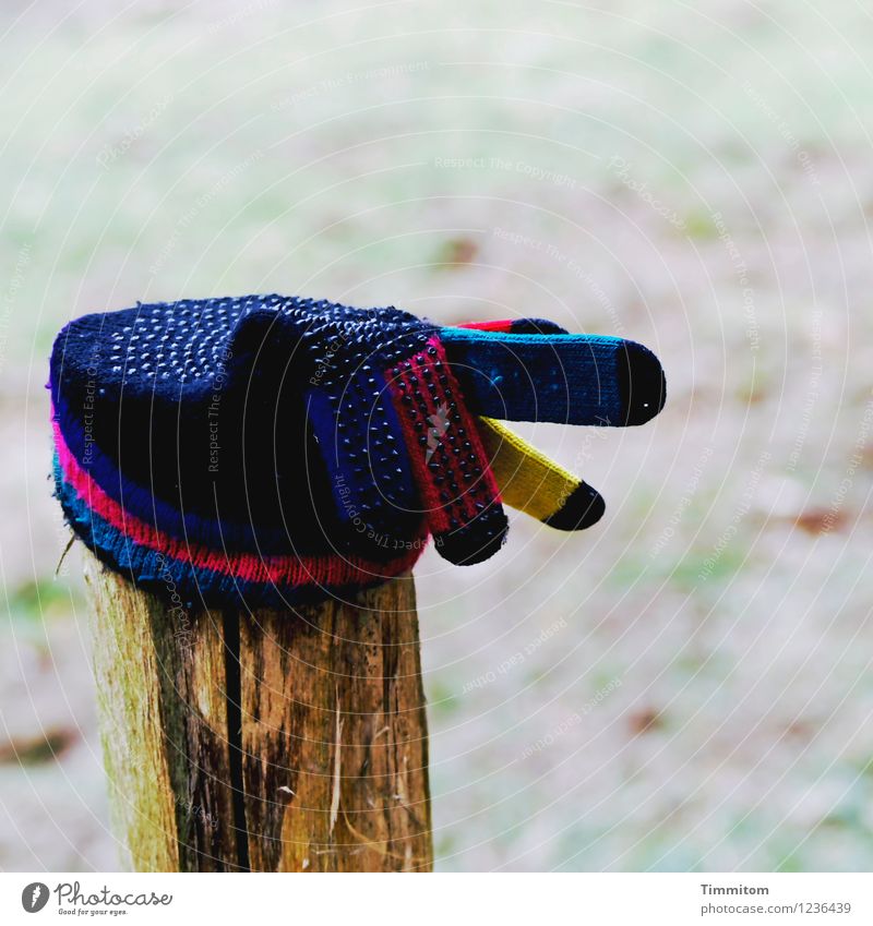 A hint. Environment Nature Winter Meadow Gloves Pole Wood Sign Blue Yellow Red Black Emotions Indicate Trend-setting Colour photo Exterior shot Deserted Day