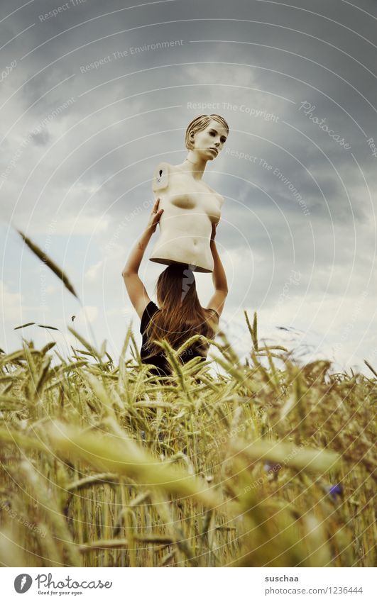 she looked ... and looked ... Sky Clouds Field Wheat Ear of corn Summer Face Head Torso Mannequin Child Girl Infancy Freedom Strange Idea