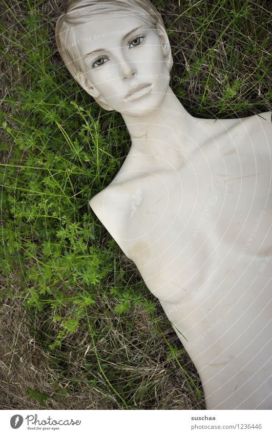There she lay in the grass. Grass Green Doll Mannequin without arms Naked Breasts Face Model False