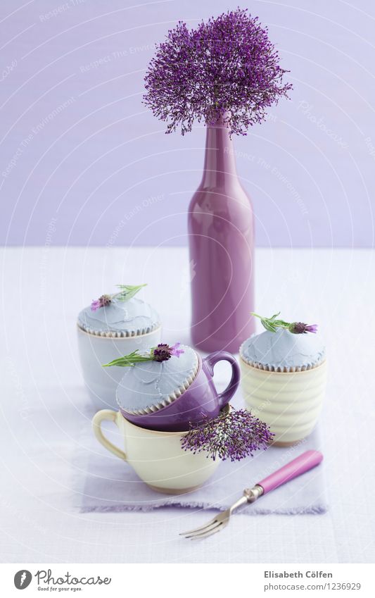Lavender Cupcakes Dessert Candy To have a coffee Mug Fork Yellow Violet Pink Green Muffin Blossom lavender blossom Vase Flower Baked goods butter cream freezing