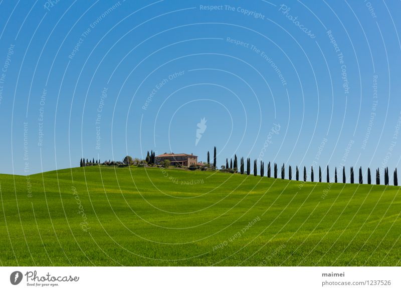 A country estate in Tuscany in spring Vacation & Travel House (Residential Structure) Landscape Cloudless sky Sunlight Spring Tree Meadow Field Hill Esthetic