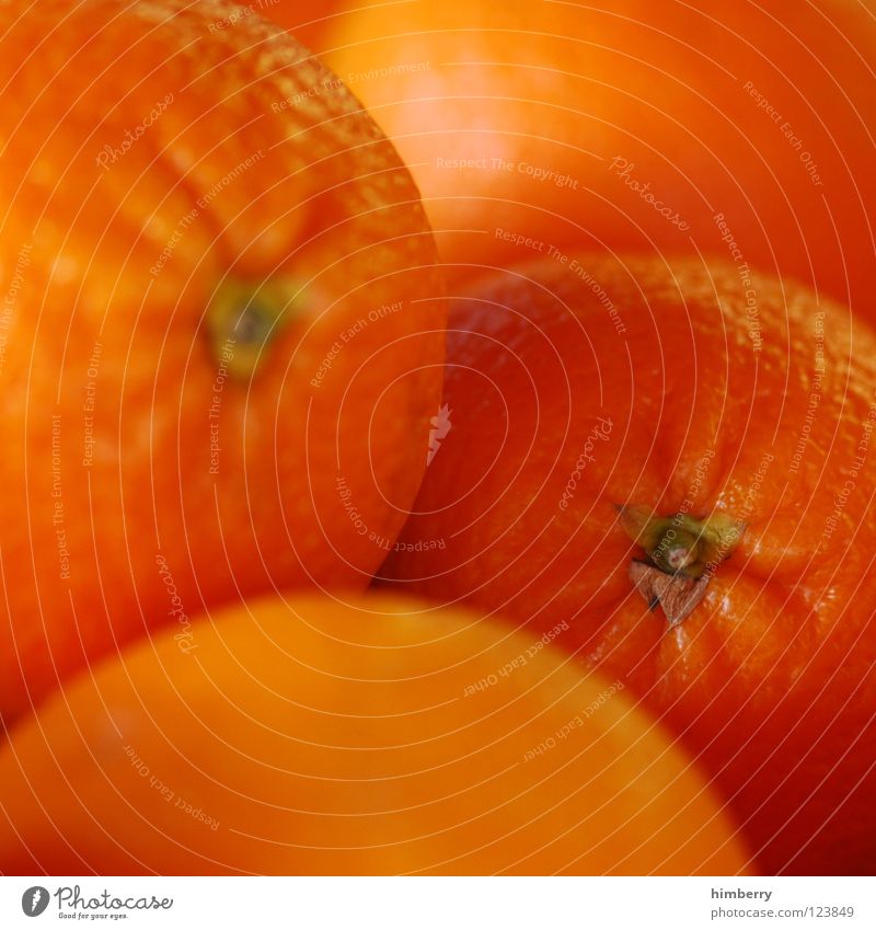 orangecase (director's cut) Orange Orange juice Fresh Juice Vitamin Nutrition Meal Healthy Multicoloured Fruit Macro (Extreme close-up) Close-up Vegetarian diet
