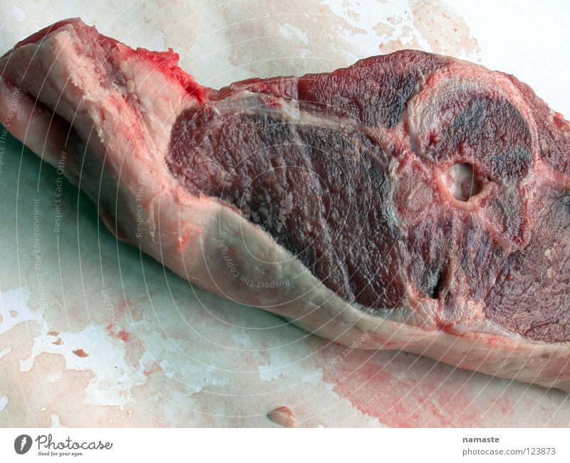 nightmare Meat Nightmare Steak Carnivore Sheep Nutrition Mammal crotlet mutton Blood