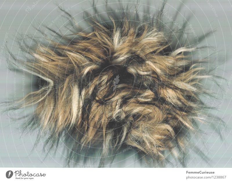Puschel Art Work of art Creativity Soft Fur jacket Hair Strange Hair and hairstyles Wig Tattered Multicoloured Dappled Colour photo Artificial light Blur