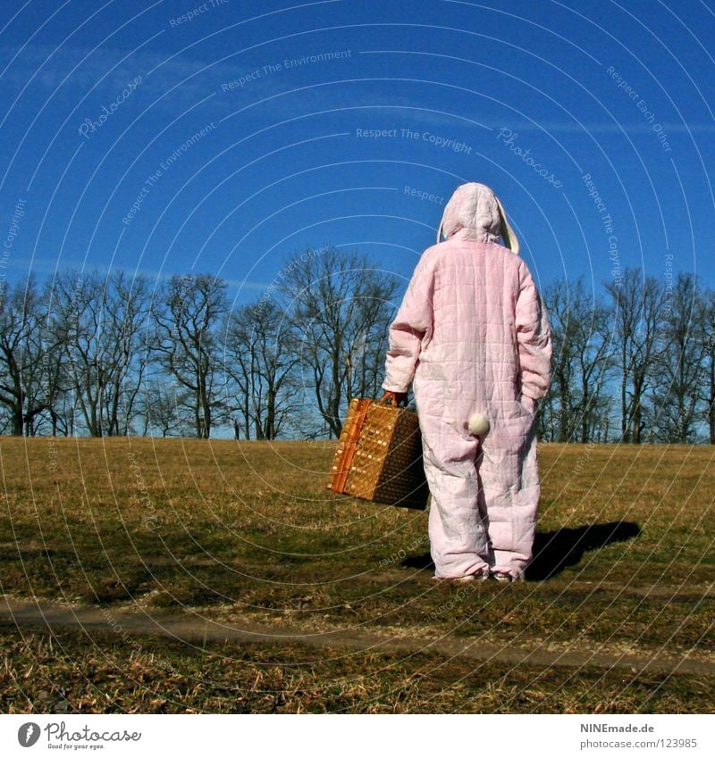 HasenMission | 2008 - orientation Hare & Rabbit & Bunny Easter Pink White Tuft Cuddly Sky blue To enjoy Beautiful Physics Think Things Hare ears Joy Funny Open