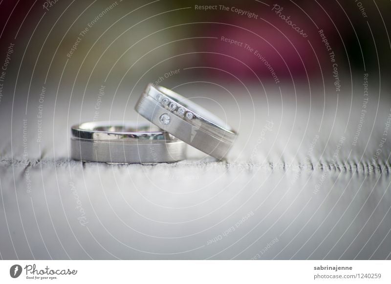 HD wallpaper: person wearing silver ring, hand, love, woman, wedding,  female | Wallpaper Flare