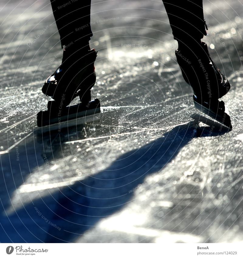 skating Ice-skates Ice-skating Light Silhouette Dark White Black Winter sports Walking Sun Shadow Contrast Bright