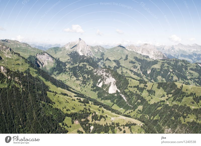 Wispile - Staldenhorn - Reason VIII Well-being Contentment Relaxation Calm Trip Freedom Summer Mountain Sports Paragliding Sporting Complex Nature Elements Air