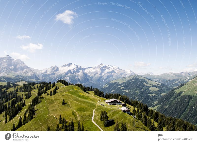Wispile near Gstaad Lifestyle Well-being Relaxation Calm Leisure and hobbies Trip Summer Mountain Sports Paragliding Sporting Complex Nature Landscape Elements