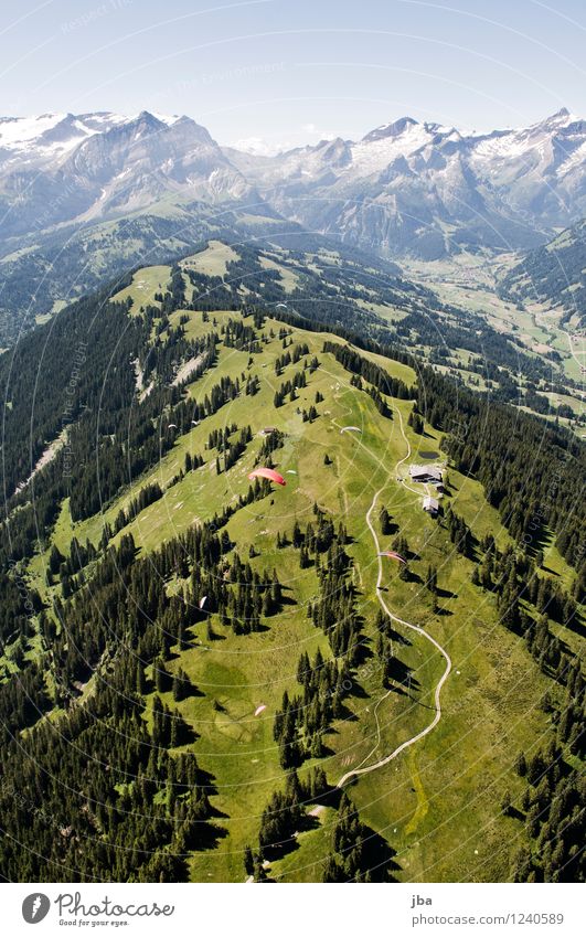Wispile - Staldenhorn - Reason IV Well-being Contentment Relaxation Calm Trip Freedom Summer Mountain Sports Paragliding Sporting Complex Nature Landscape