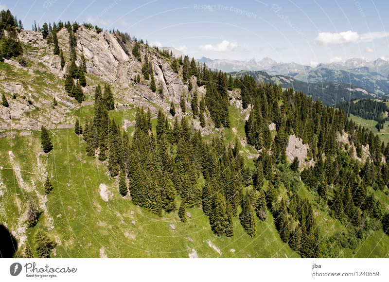 Wispile - Staldenhorn - Reason XIII Well-being Contentment Relaxation Calm Trip Freedom Summer Mountain Sports Paragliding Sporting Complex Nature Elements Air