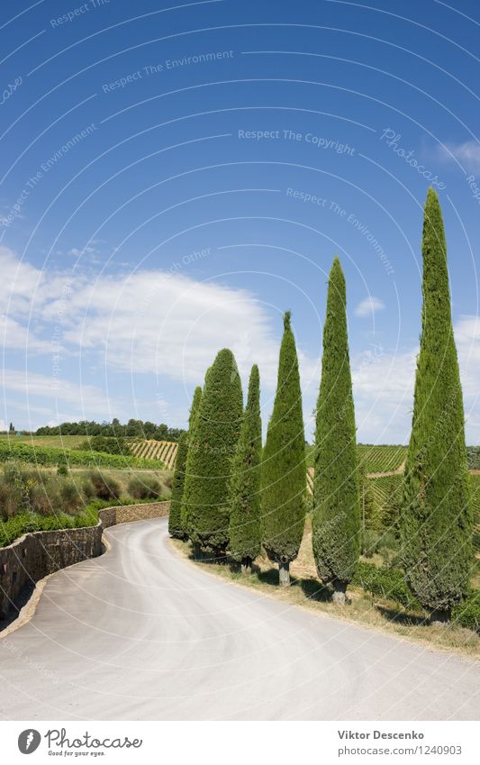 A typical landscape of Tuscany Alcoholic drinks Summer Clouds Warmth Tree Hill Street Stone Blue Green Red Serene Cypress direction Farm Fencing Italy panorama