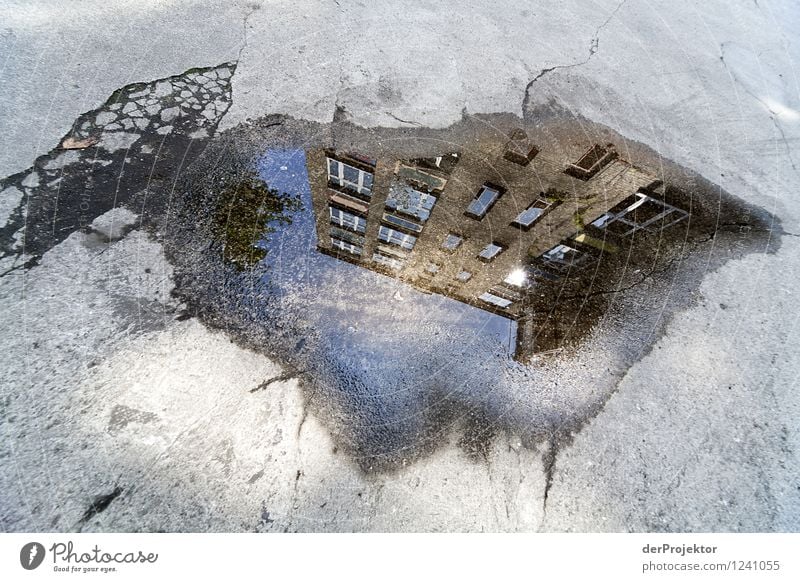 There's a house growing in the puddle. Vacation & Travel Tourism Far-off places Sightseeing Environment Downtown House (Residential Structure) Dream house