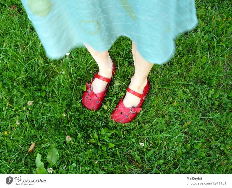 Dorothy and the Wizard of Oz Nature Beautiful weather Grass Garden Park Meadow Dress Footwear Sandal Ballerina straps magic shoes Stand Natural Green Red