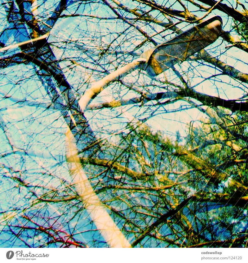 tangled up in blue Street lighting Sky Windscreen Windscreen wiper Tree Park window