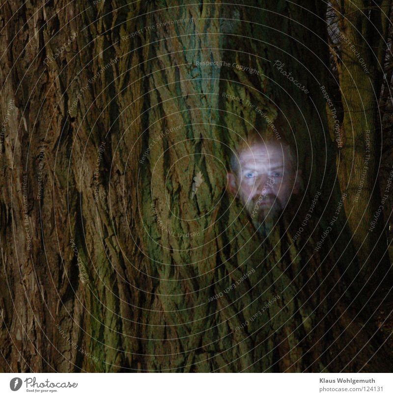 Double exposure, my face in front of the bark of a weeping willow, flash shot Tree bark Mystic Eerie Night Creepy Full  moon Long exposure Face
