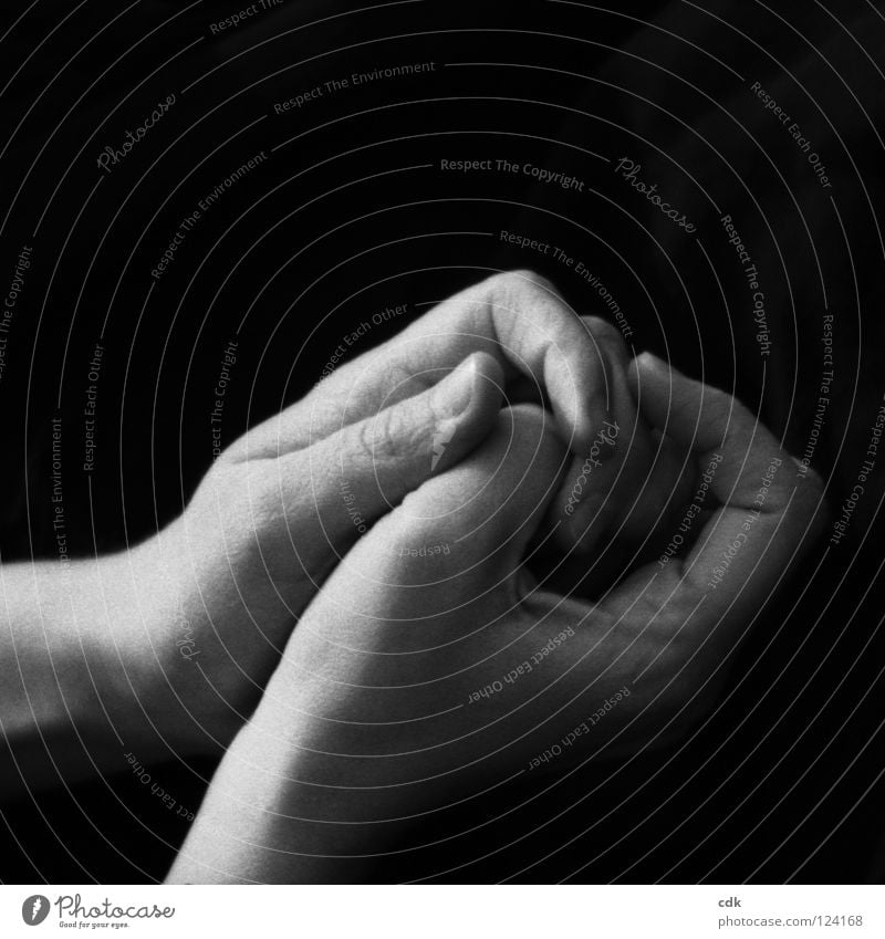Connect | Hands | Gestures Fingers Joint Touch Together Meditation Prayer Folded Connectedness Emotions Comprehend Caress Delicate Caresses Fine Think Go under