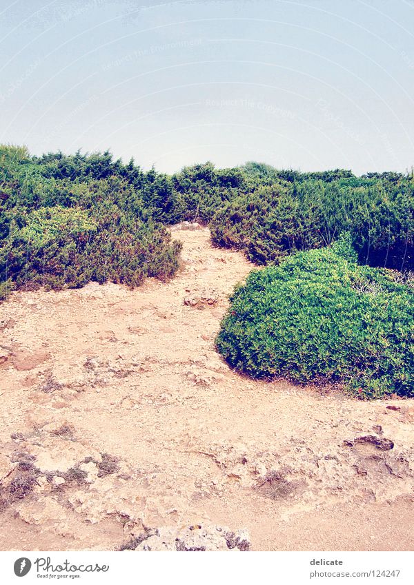 Mallorca Majorca Green Brown Beach Coast Vacation & Travel Summer 2007 Bushes Landscape Stone