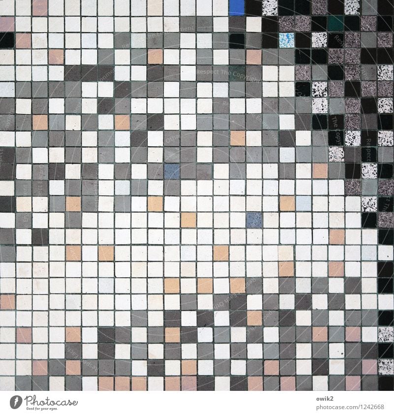Small tiles Art Work of art Mosaic Tile Together Retro Many Crazy Wild Gray Orange Black White Design Square Gray-blue Pink Mixed Muddled Precision Arrangement