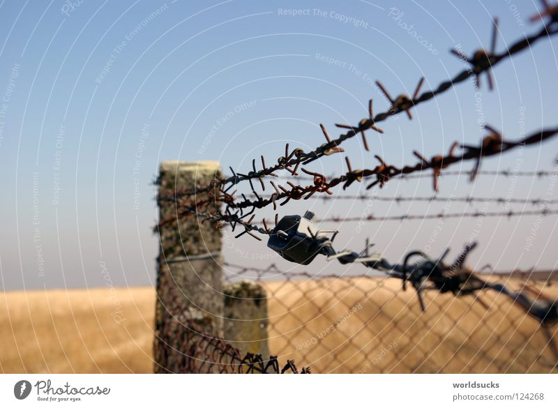 Spiny Affair Fence Barbed wire Wire Field Barrier Closed Wire netting Wire netting fence Concrete Abstract Exterior shot Captured Confine Barred Safety