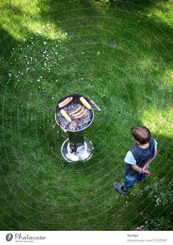 A boy stands expectantly in the garden in front of a grill with sausages. Bird's eye view Meat Sausage Nutrition BBQ Garden Child 1 Human being 3 - 8 years