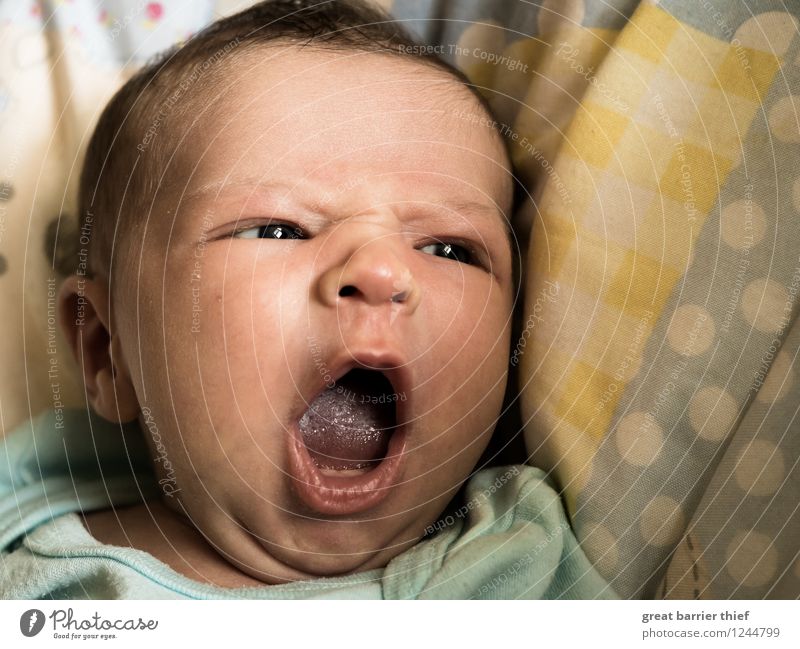 yawn Human being Feminine Child Baby Sister Head 1 0 - 12 months Relaxation Multicoloured Yellow Safety (feeling of) tired Yawn youthful Eyes Interior shot