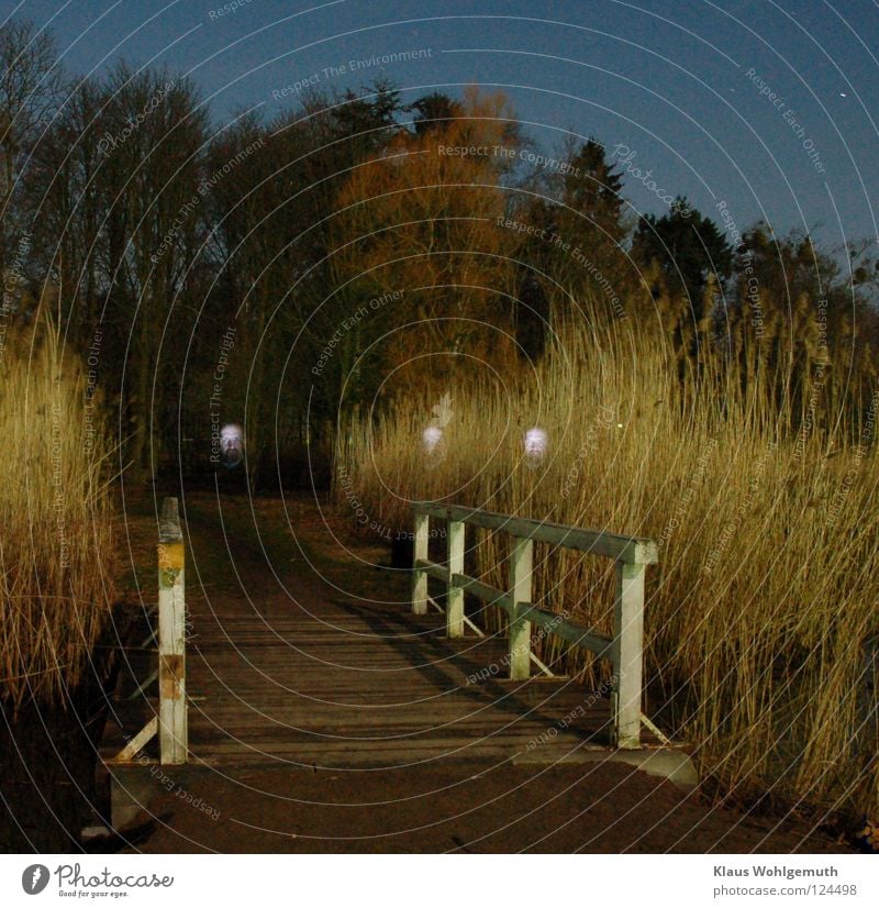 Small white bridge surrounded by reeds in the moonlight, in the background a park. My face inserted several times by brief illumination. Night Eerie Mystic