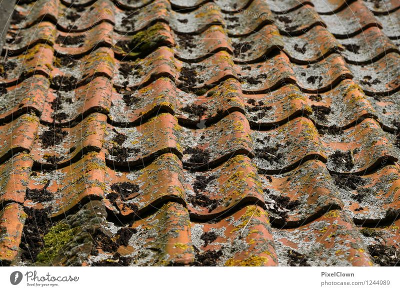 Roof tiles with traces of use Living or residing House (Residential Structure) Redecorate Attic Craftsperson Manmade structures Building Architecture Stone Lie