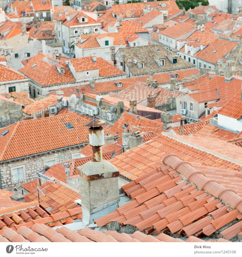 Above the roofs of the old town (Dubrovnik) Town Downtown Old town Building Roof Chimney Tourist Attraction Landmark Monument Authentic Famousness Brown Gray