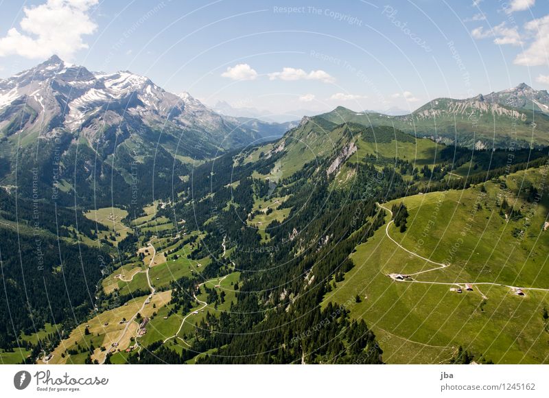 Col du Pillon Well-being Contentment Relaxation Calm Leisure and hobbies Trip Far-off places Freedom Summer Mountain Sports Paragliding Sporting Complex Nature