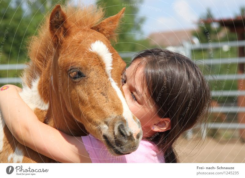Welcome.... in my hearts! Pet Horse Animal face 1 Baby animal intimate union To enjoy Love Illuminate Dream Authentic Together Happy Cuddly Near Natural Cute