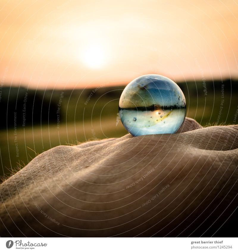 another world Masculine Hand Environment Nature Landscape Animal Sun Beautiful weather Glass Exceptional Blue Yellow Gold Red Contentment Sphere Colour photo