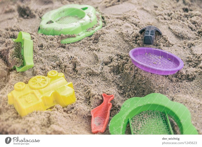 aspic mushroom smell Playing Handicraft Sand toys Vacation & Travel Summer Summer vacation Sun Lakeside Beach Build Discover Blue Yellow Green Violet Red