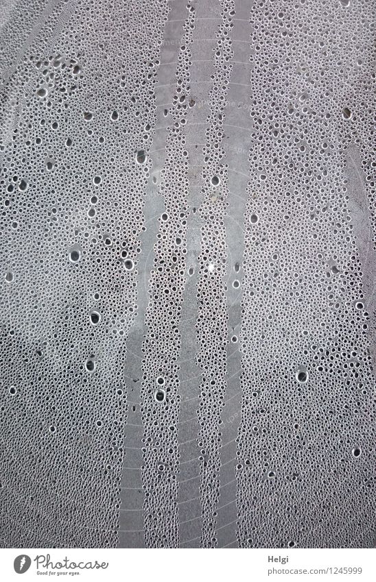 !trash!2015 | Condensation Environment Drops of water Glass Authentic Exceptional Simple Fluid Wet Gray White Uniqueness Change Colour photo Subdued colour