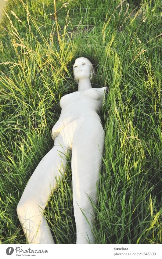 She was lying in the grass. Grass Green Exterior shot Summer Mannequin Naked False Legs no poor Leave behind