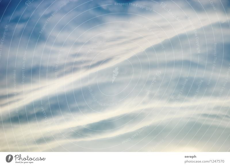 Cloudscape Sky Background picture Storm Air Structures and shapes Consistency Weather convection Smooth Shallow depth of field Environment Nature Cumulus Halo