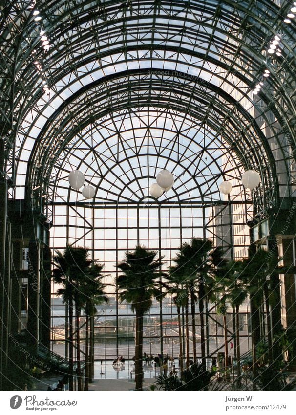 Atrium at the World Financial Center, New York 1989 New York City Palm tree Window world finacial center USA Glass Architecture Glass roof Delicate
