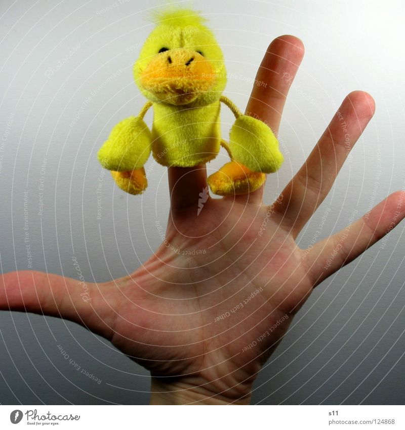 Duck shoot, man. Plush Cuddly toy Finger puppet Toys Yellow Beak Hand Fingers Fingernail Playing Children's room Bedroom Hair and hairstyles Punk Funny Joy