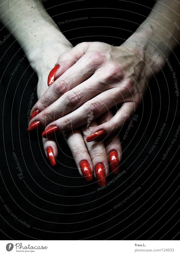 blood red Skin Nail polish Relaxation Human being Woman Adults Hand Claw Authentic Thin Long Red Varnished Women`s hand Extreme Vessel Colour photo