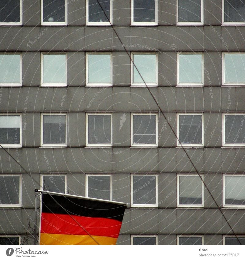 Flag in front of plate House (Residential Structure) Wall (building) Window Glazed facade Gray Reflection Wire Rectangle Cloth Landmark Decoration