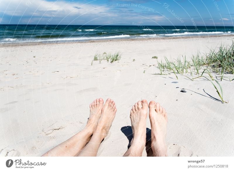 beach feet Vacation & Travel Summer Summer vacation Sunbathing Beach Ocean Waves Human being Masculine Feminine Woman Adults Man Female senior Male senior Legs