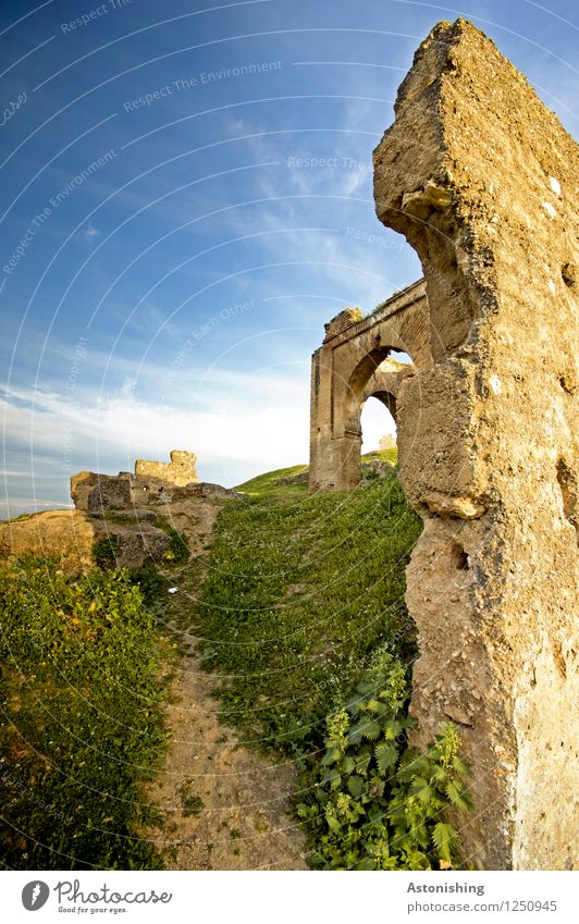 old walls Environment Nature Landscape Plant Sky Clouds Horizon Summer Weather Beautiful weather Grass Bushes Meadow Fez Morocco Ruin Manmade structures
