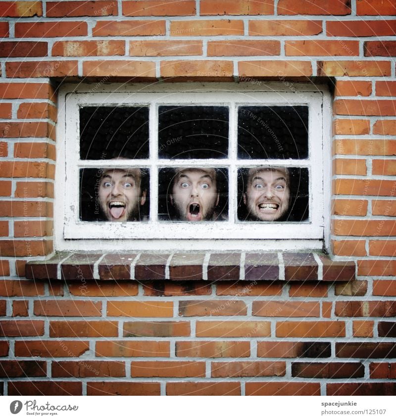 charade Wall (building) Wall (barrier) Brick Window Window pane Psychiatry Crazy Captured Soul Closed Man Whimsical Humor Freak Joy Stone Glass psychopathic
