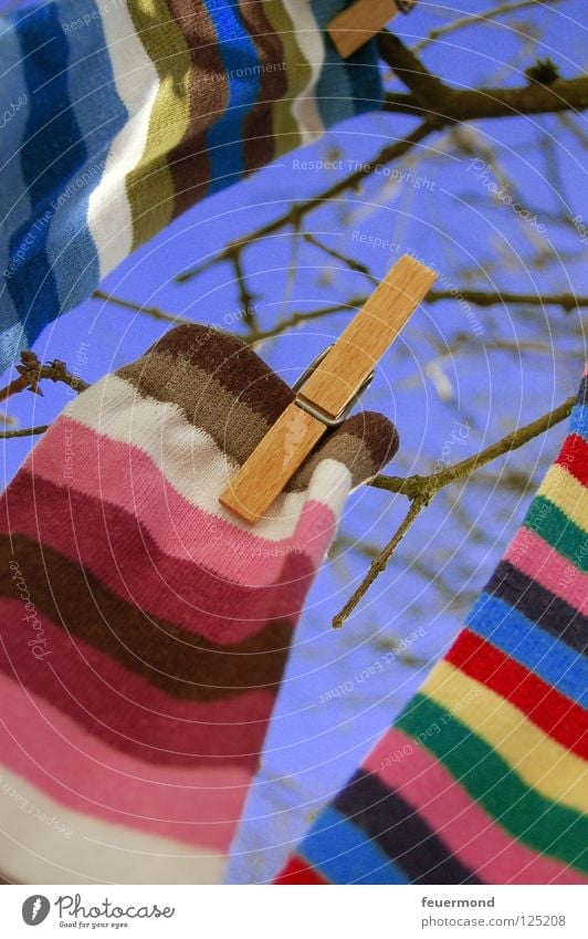 sock tree Stockings Laundry Hang up Clothesline Spring Washing day Spring cleaning Stripe Striped Clothing laundry day clothes pegs To hold on