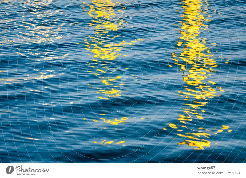watercolours Water Waves Baltic Sea Harbour Blue Yellow Surface of water Colour photo Multicoloured Exterior shot Deserted Copy Space left Copy Space top