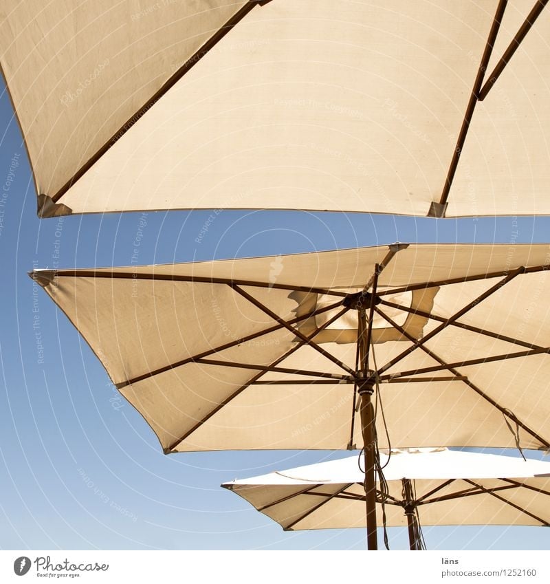 Protected Gastronomy Umbrellas & Shades Sunshade Weather protection Sky Summer Safety (feeling of)